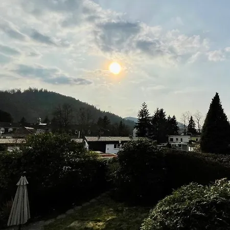 Eckberg Apartment Near City Centre & Nature Baden-Baden Buitenkant foto