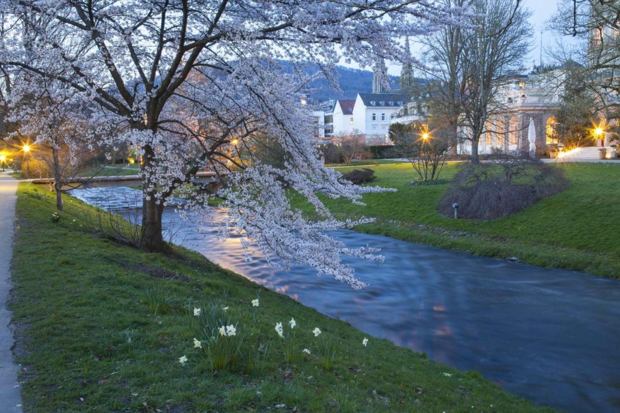 Eckberg Near Centre & Nature Apartment