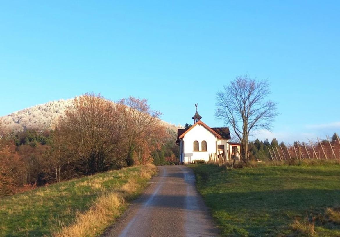 Eckberg Near Centre & Nature *