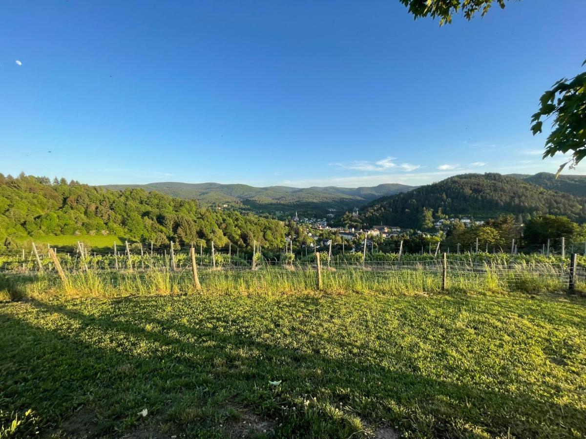 Apartament Eckberg Near Centre & Nature Baden-Baden
